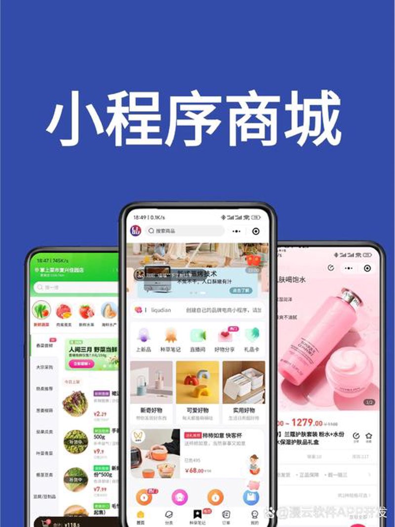 解析上海软件开发的创新力量